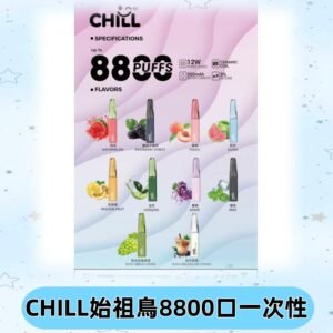 CHILL始祖鳥電子煙鴨嘴獸拋棄式8800口 一次性8ml大容量煙油